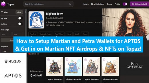 How to Purchase NFT on APTOS Chain with Martian and Petra Wallets on Topaz NFT Marketplace