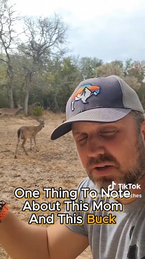 Understanding Whitetail Deer Behavior
