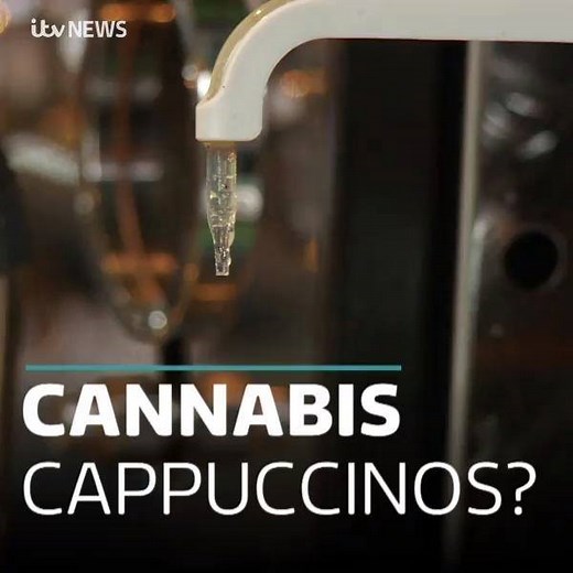 13K views · 81 reactions | Here's a glimpse of the beverages on offer at Mary Janes, where you can substitute your vanilla syrup for CBD oil ☕️ More on the craze here: https://bit.ly/2ZaZPoy | ITV News West Country | Facebook