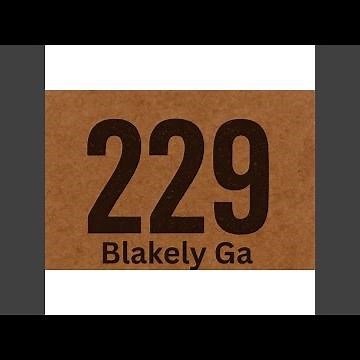 229 (Blakely Ga) (feat. Ac'cel & Manikan Fly)