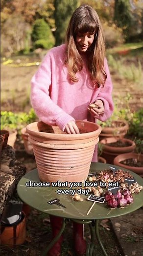 Mini Garden on a Window Sill — Grow Plants at Home