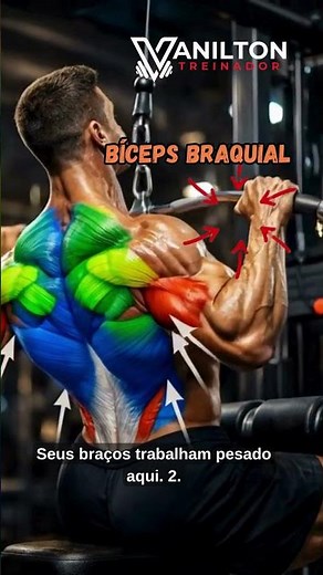 O guia rápido da Puxada Alta Frente! 🏋️ #musculação #dicasdetreino #puxadafrente #academia #shorts