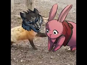 Linked Universe As Vines/TikToks (Check description please!)