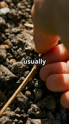 Rock vs Stone: What's the Difference? #lifetips101