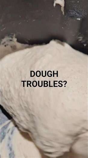 What's wrong with my Bread Dough?