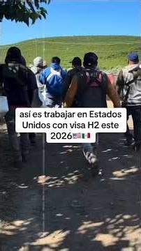 H2 Work Visa #politicalasylum #agriculture #borderpatrol #visa #dollar #nativestyle #fyp #visa #i