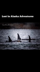  Small Boat. Big Experience. Private Whale Watching is the BEST way...