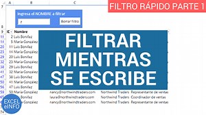 Filtrar filas mientras se escribe - Filtro rápido en Excel - Parte 1 - Sergio Alejandro Campos
