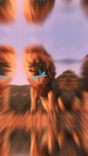 Stunning Lion Clips: Majestic Lions in Their Natural Habitat