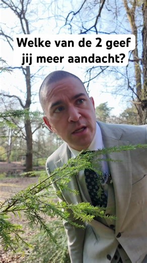 Je bent hier om jezelf te leren begrijpen