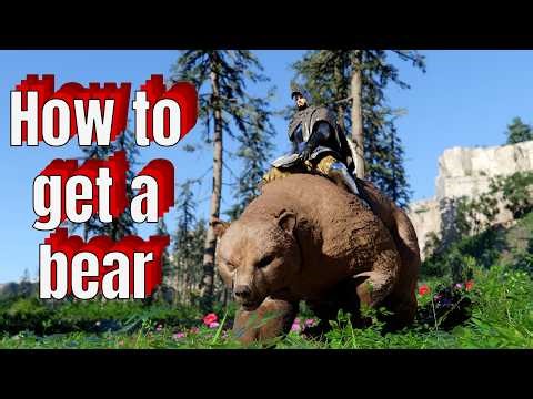 How get a bear early in Crimson Desert (and then how to get the legendary bear)