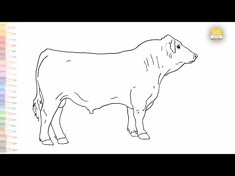 Simmental cattle drawing | How to draw Simmental step by step | Cow / bull drawing tutorials