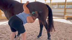 October 2, 2024 Cleaning... - Rainbow Meadows Equine Rescue