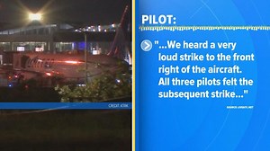 4 planes forced to turn around after series of bird strikes over Texas