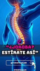 1.8M views · 28K reactions |  Estiramientos que liberan tu cuerpo y...