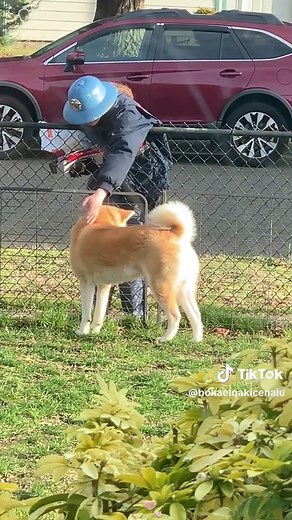 Dogs Remember Your Smell: A True Love Connection