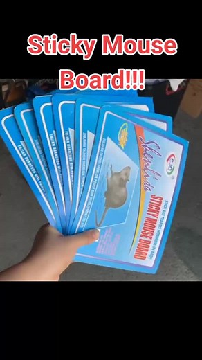 BUY 5 TAKE 5=10pcs Mouse Glue (Super Strong Adhesion) Traps Rat Glue Traps Sticky