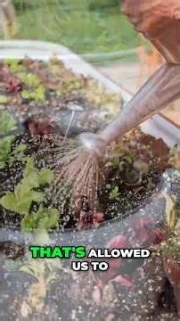 Small Garden Done Right Beats Huge Neglected One #gardentips #growyourownfood #farming