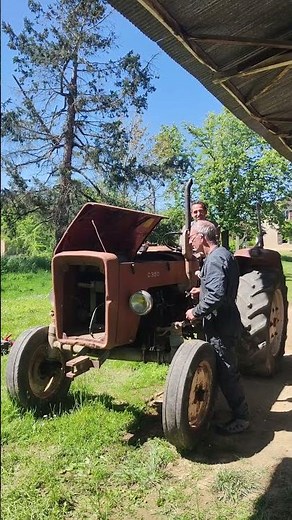 Démarrage d'un Ursus C350 après 5 ans d'immobilité #tracteur #vieuxtracteur #tractor #france #ferme