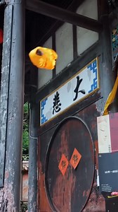 A child is born with a birthmark identical to his father's. | Sleepy Tales