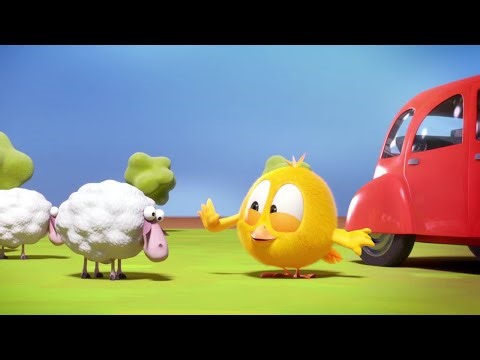 What’s on the Farm? | Where's Chicky? | Cartoon Collection in English for Kids | New episodes