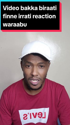 How to Use Mobile App Features for Content Creation