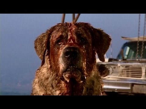 Cujo Trailer 1983