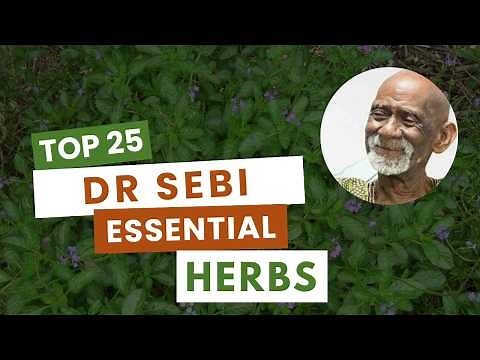LIST of 25 POPULAR / ESSENTIAL DR SEBI APPROVED HERBS FOR HEALTH (DR. SEBI EXCERPT)