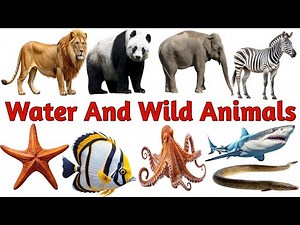 Water Animals and Wild Animals Names in English | Learn Animals Name for Kids | Educational Video