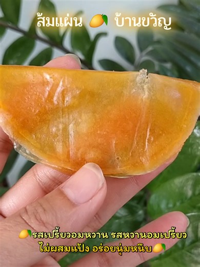 ส้มแผ่น บ้านขวัญ บ้านบางสะพาน รสชาดเปรี้ยวอมหวาน หวานอมเปรี้ยว ไม่ผสมแป้ง #มะม่วง #มะม่วงกวน #ส้มแผ่น #หวานน้อยอร่อยมาก