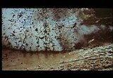 The Losers - trailer