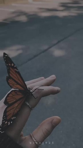 Irresistible One Direction Lyrics Aesthetic