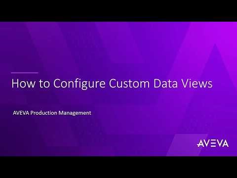 AVEVA Production Management – Custom Data Views