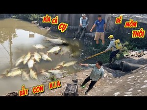 If you're going to go fishing, keep your mouth shut! And you're dragging the whole village along ...