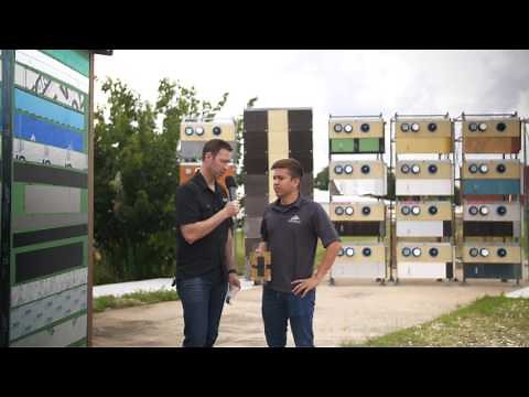 Flashing Tapes Tested - What's the best one?