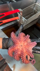 30K views · 23K reactions | Lo nuevo favorito de nuestros clientes...