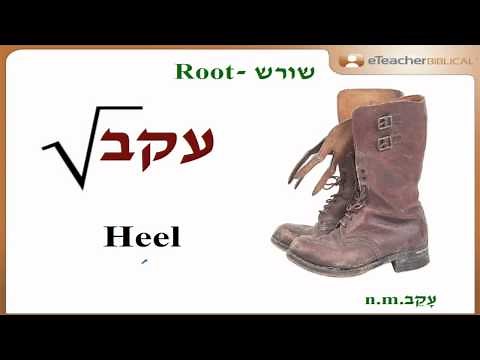 Does Jacob mean "deceiver" ? | Biblical Hebrew Q&A with eTeacherBiblical.com