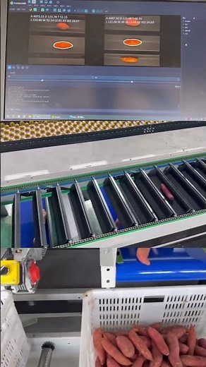 Sweet potato optical vision sorter,Optical sorting grading machine for cucumber