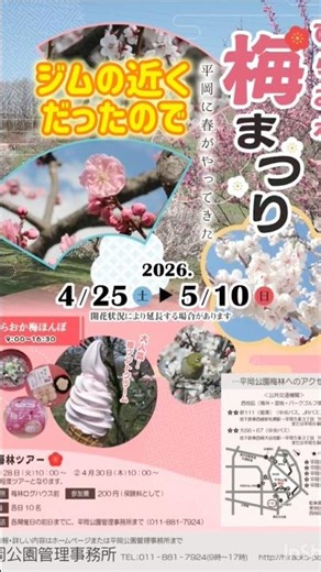 梅まつり5月10日#平岡公園#梅林#白梅＃紅梅#札幌#我が家 #ひな祭り #hokkaido #北海道