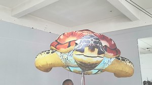 Cool #inflatable walking #turtle | Yantai Hello Inflatable Co.,Ltd | Facebook