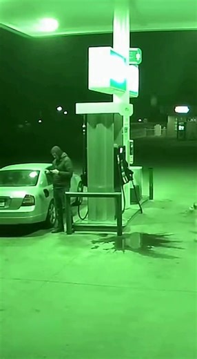 Unbelievable footage from a library security camera. This trained service dog sensed a structural failure in the ceiling long before any human noticed. Watch as the dog urgently alerts its owner and pushes them to safety just moments before a heavy light fixture and plaster crash down. Animals truly have a sixth sense for danger!" | Paw Hero Vault