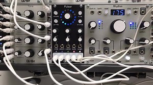 Pulsar Patchin!! | Qu-Bit Electronix