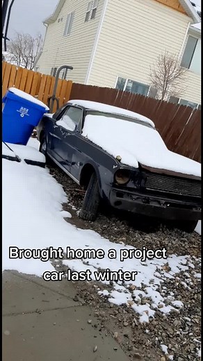 Rust Bucket on TikTok