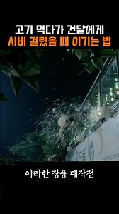 고깃집 데이트하다가 시비가 걸리면?