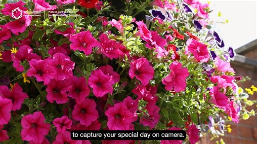 2.2K views | Would you like a small intimate wedding? Not sure...