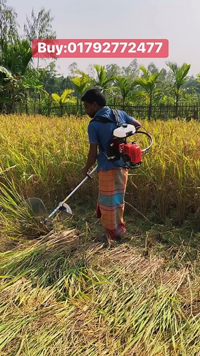 51K views · 588 reactions | Mini Rice Cutter Machine | Diy King | Facebook