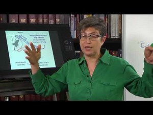 4.3 Spinal Nerves and Roots