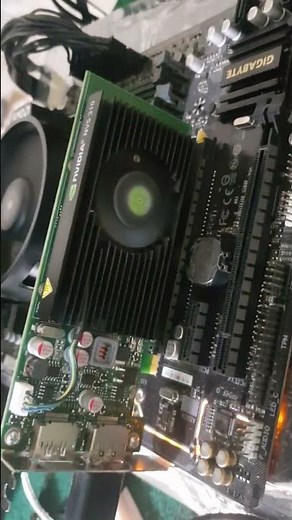 NVIDIA Quadro NVS 310 NVS310 512MB GDDR3 m****a