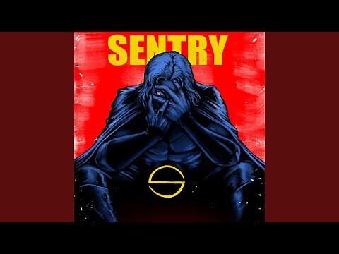 THE VOID (SENTRY)