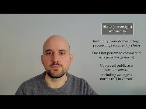 Jurisdictional immunities